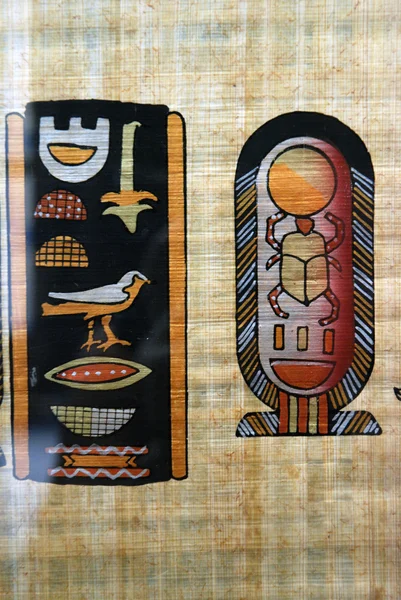 Ægyptisk papyrus - Stock-foto