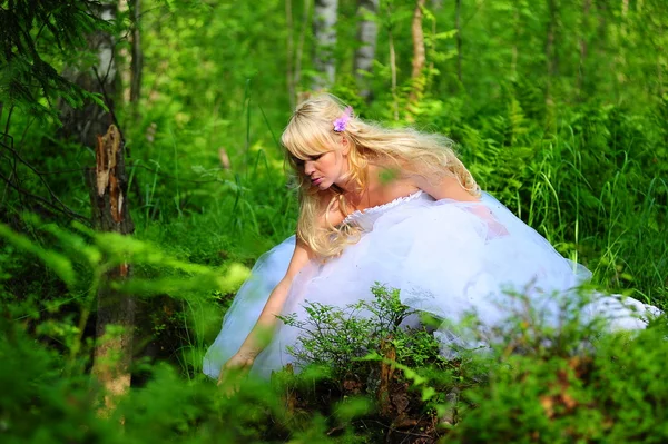A noiva em madeira — Fotografia de Stock