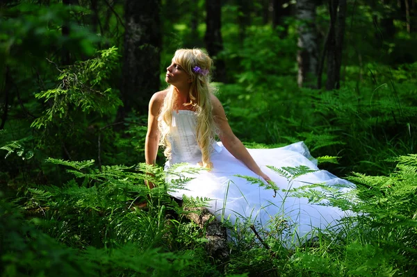 La sposa in legno — Foto Stock