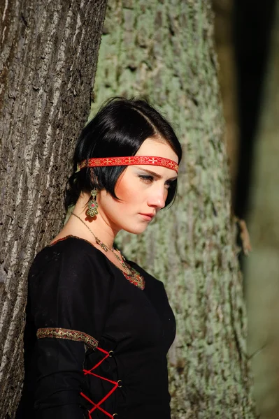 Portret van het meisje in een middeleeuwse jurk — Stockfoto