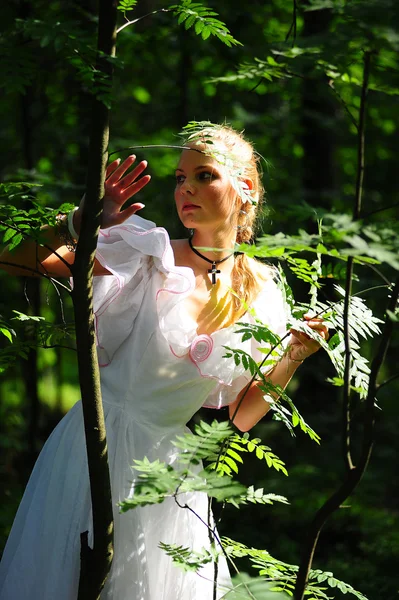 Portrait of romantic woman at fairy forest — Stock Photo, Image