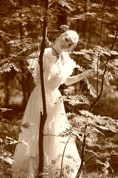 Joven dama victoriana — Foto de Stock