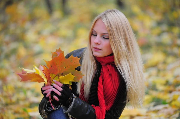 Κορίτσι με το φθινόπωρο τα φύλλα σφενδάμου — Φωτογραφία Αρχείου