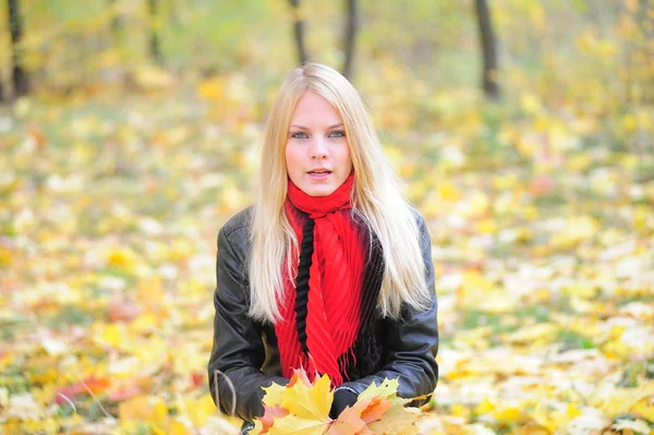 Menina loira no outono folhas de bordo — Fotografia de Stock