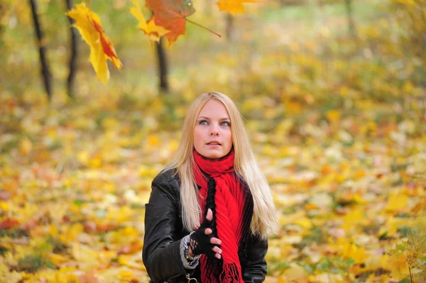 Blonde girl in fall maple leaves — Stock Photo, Image
