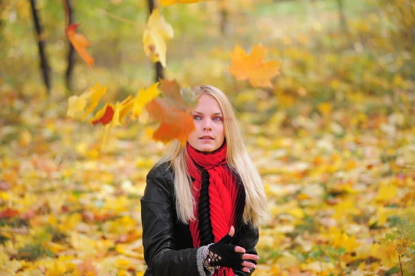 Sonbaharda akçaağaç yaprakları ile kız — Stok fotoğraf