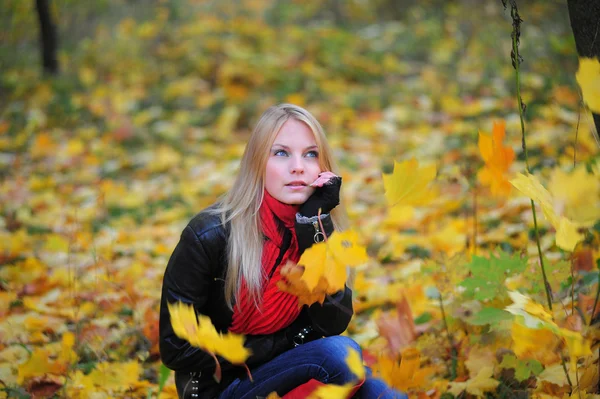 Девушка бросает листья — стоковое фото
