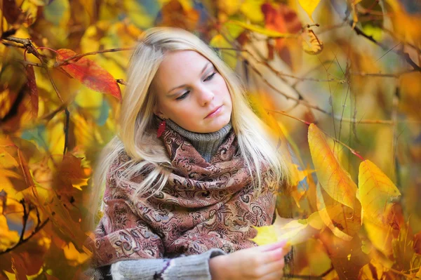 Κορίτσι με το φθινόπωρο τα φύλλα σφενδάμου — Φωτογραφία Αρχείου