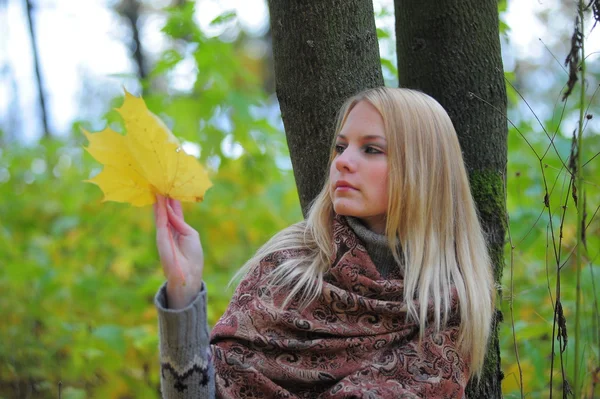 Girl with autumn maple leaves — Stock Photo, Image