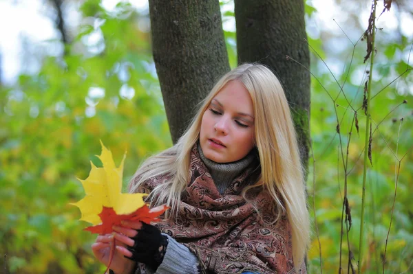 秋のカエデの葉を持つ少女 — ストック写真