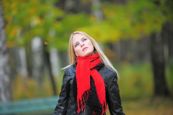 Giovane bella ragazza in autunno sfondo — Foto Stock