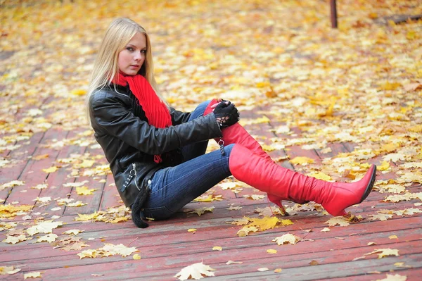 Fiatal gyönyörű lány őszi háttér — Stock Fotó