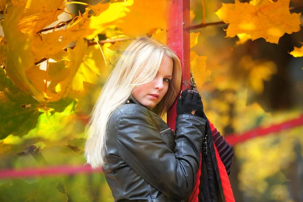 Giovane bella ragazza in autunno sfondo — Foto Stock