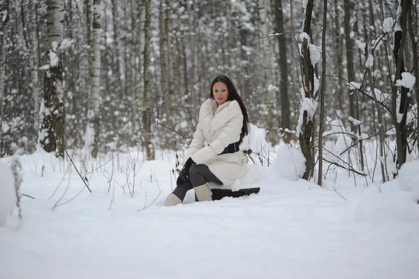 Mulher no parque de inverno — Fotografia de Stock