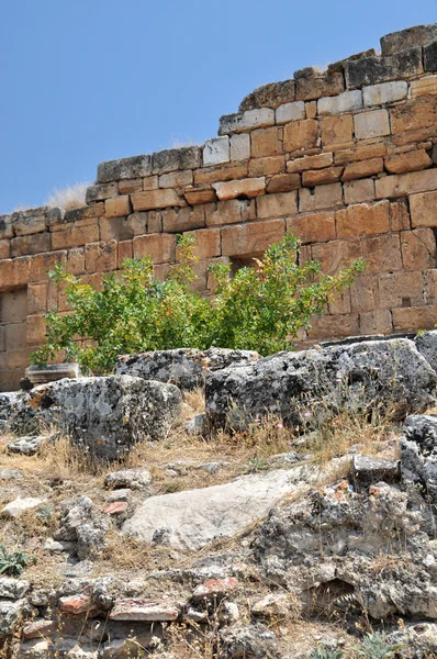 Hierapolis ruinss near Pamukkale, Turkey. — Stock Photo, Image