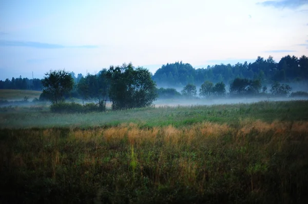 Nevoeiro sobre o campo — Fotografia de Stock