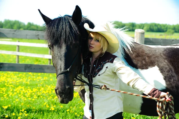 Amor de cavalo — Fotografia de Stock
