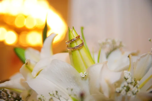 Обручальные кольца и лилия — стоковое фото