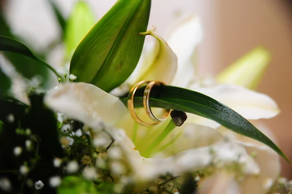 Jegygyűrű és a liliom — Stock Fotó