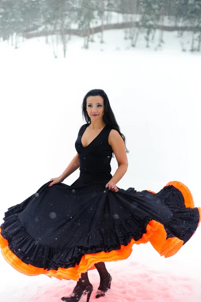 Flamenco —  Fotos de Stock
