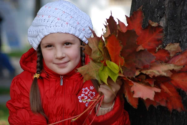 Little girl in an autumn park — Stock Photo, Image