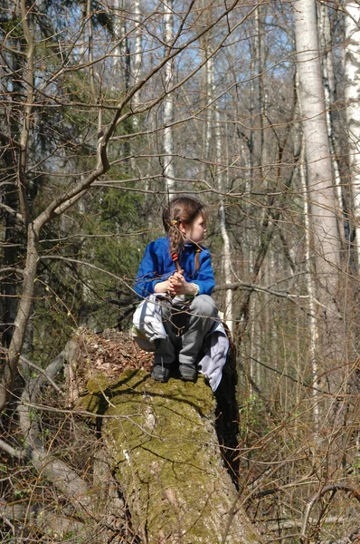 Chica, sentada en un viejo árbol en el campo —  Fotos de Stock