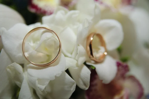 Bröllop bukett med orkidéer — Stockfoto