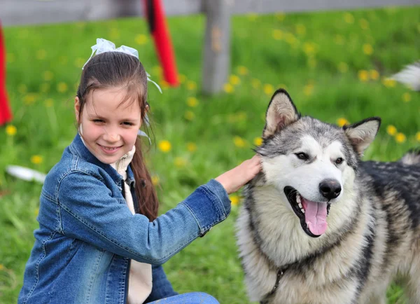 Girl with dog — Stock Photo, Image