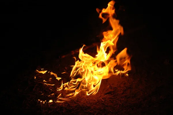 燃える火します。 — ストック写真