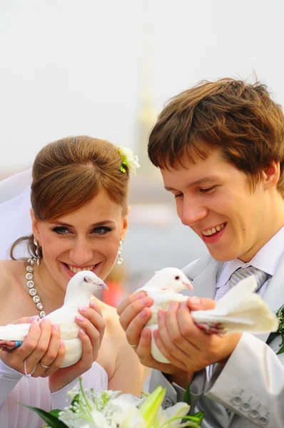 Novomanželé a holubi — Stock fotografie