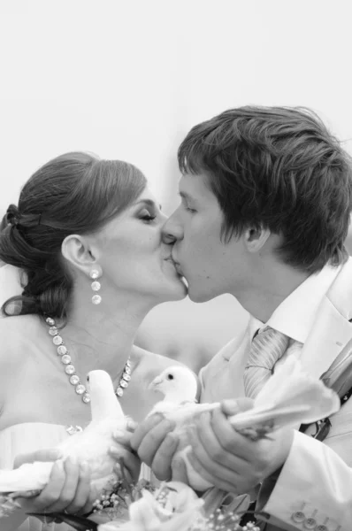 Piccioni e coppia appena sposata — Foto Stock