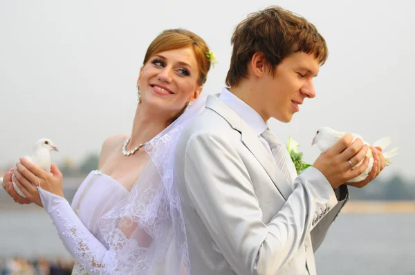 Pigeons and newly-married couple — Stock Photo, Image