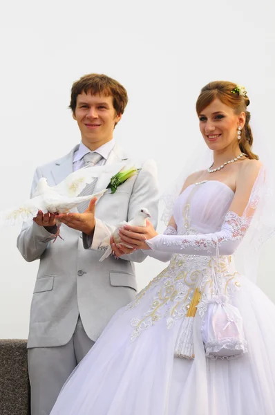 Pombos e casal recém-casado — Fotografia de Stock