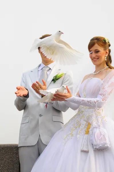Pareja casada libera palomas — Foto de Stock