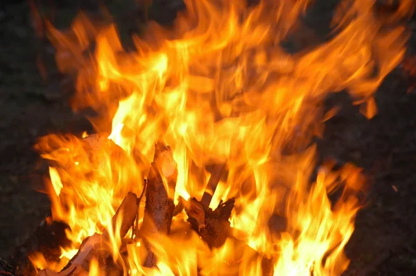 Eld Flammar Upp Mörk Bakgrund — Stockfoto