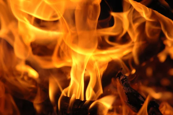 Огненное Пламя Поднимается Темном Фоне — стоковое фото