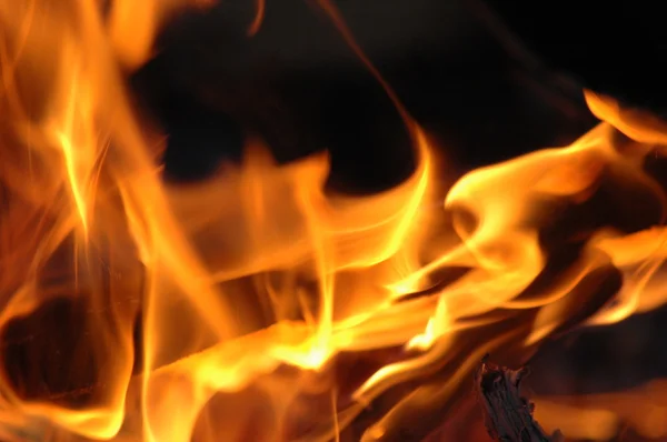 Oheň Zblízka — Stock fotografie