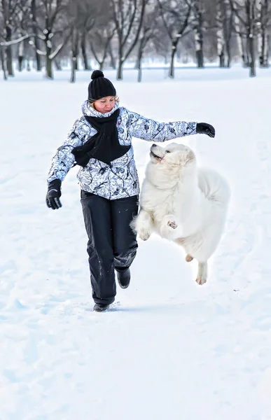 Running Dog Winter Time — Stock Photo, Image