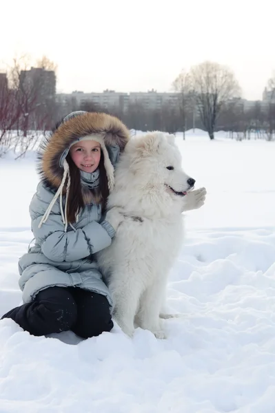 冬のサモエド犬と少女 — ストック写真