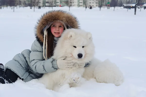 Tyttö Samoyed Koira Talvella — kuvapankkivalokuva