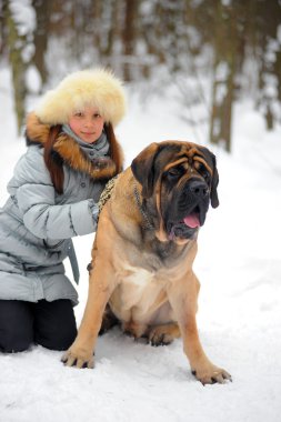 Girl with an English Mastiff clipart