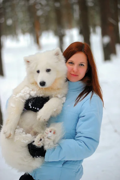 Girl with a puppy Samoyed — Stock Photo, Image