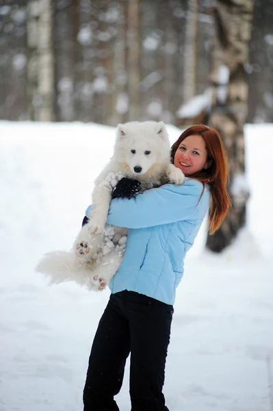 彼の子犬と冬の若い赤髪の女性サモエド — ストック写真