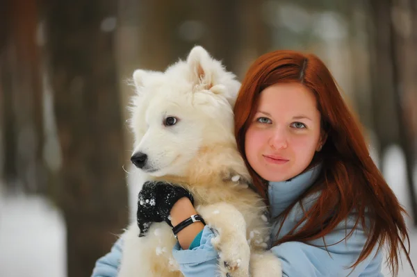 彼の子犬と冬の若い赤髪の女性サモエド — ストック写真