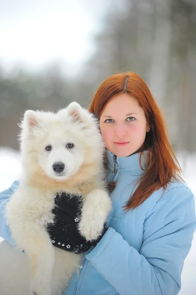 Joven Mujer Pelirroja Invierno Con Cachorro Samoyed —  Fotos de Stock