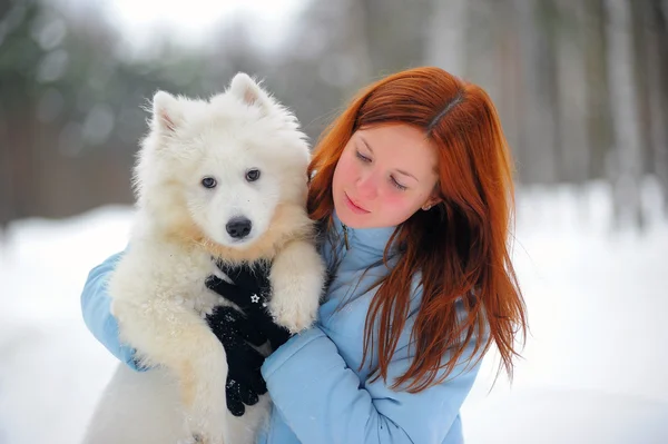 Girl with a puppy Samoyed — Stock Photo, Image