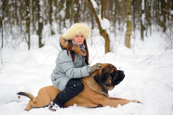 少女と英語マスティフ犬 — ストック写真