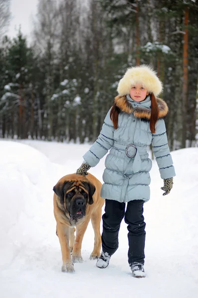 Meisje Met Haar Hond Engelse Mastiff — Stockfoto