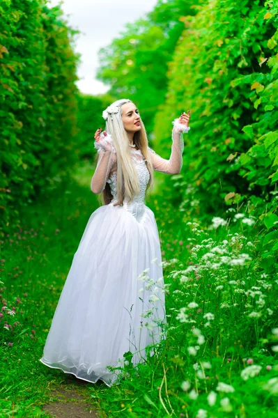 Белая королева — стоковое фото
