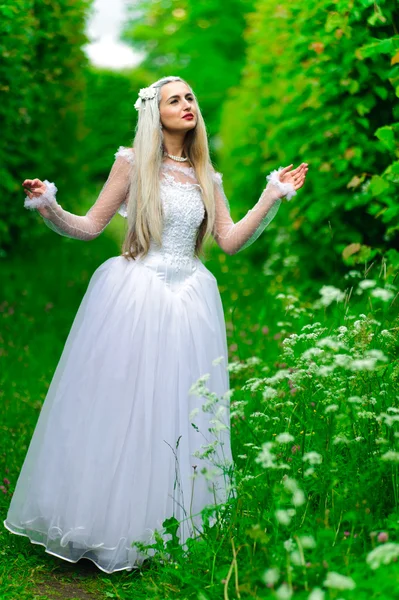 Біла королева — стокове фото
